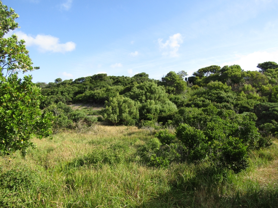 0 Bedroom Property for Sale in Paradise Beach Eastern Cape